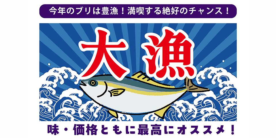 今年のぶりの出荷情報