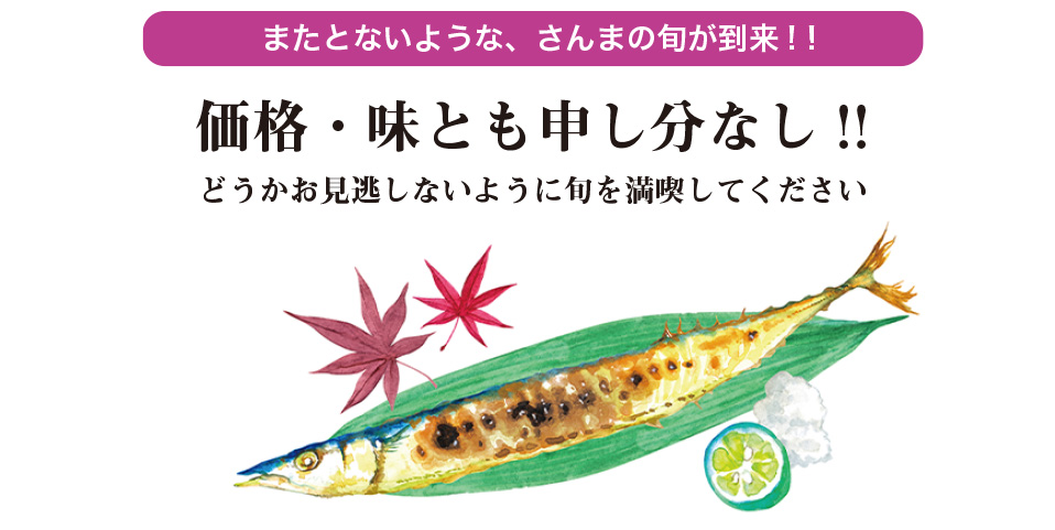今年の出荷情報