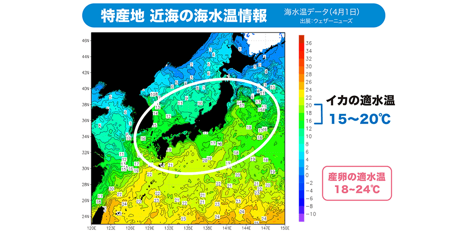 「北海道・岩手・青森」特産地近海の海水温情報