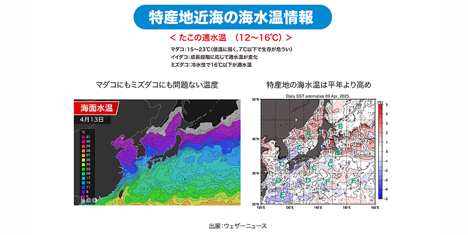 特産地近海の海水温情報