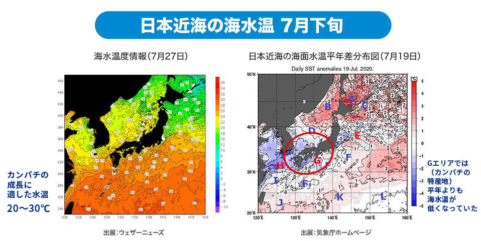 日本近海の海水温（7月下旬）