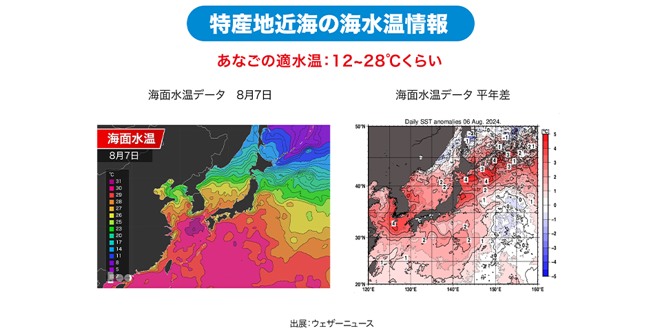 特産地近海の海水温情報