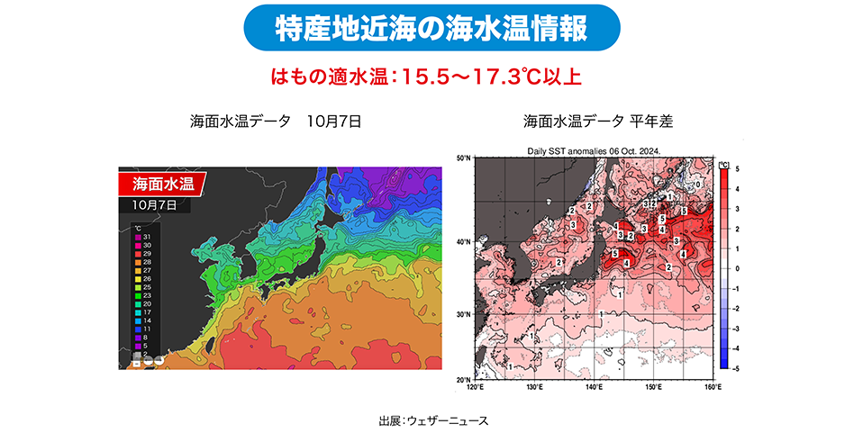 特産地近海の海水温情報