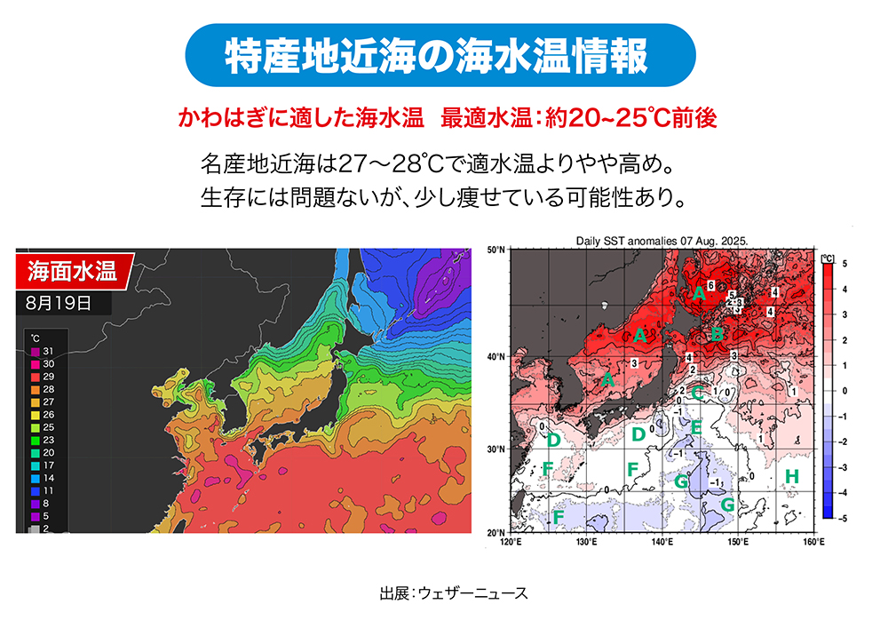 「三重・大分・徳島」特産地近海の海水温情報