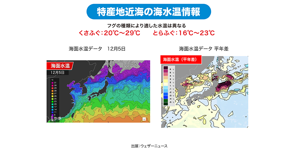 特産地近海の海水温情報