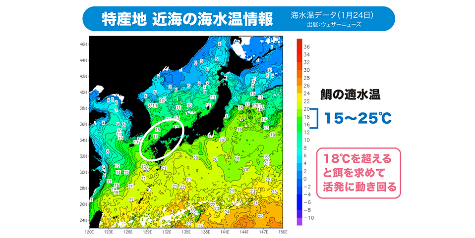 「長崎・福岡・島根」特産地近海の海水温情報