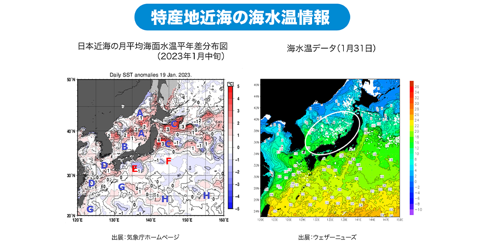 「福井・京都・石川」特産地近海の海水温情報