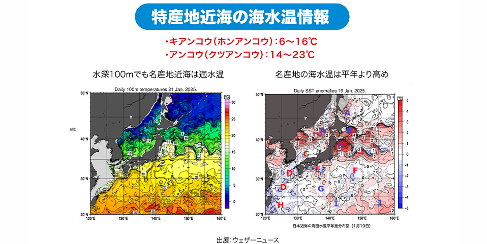 日本全国の海水温情報