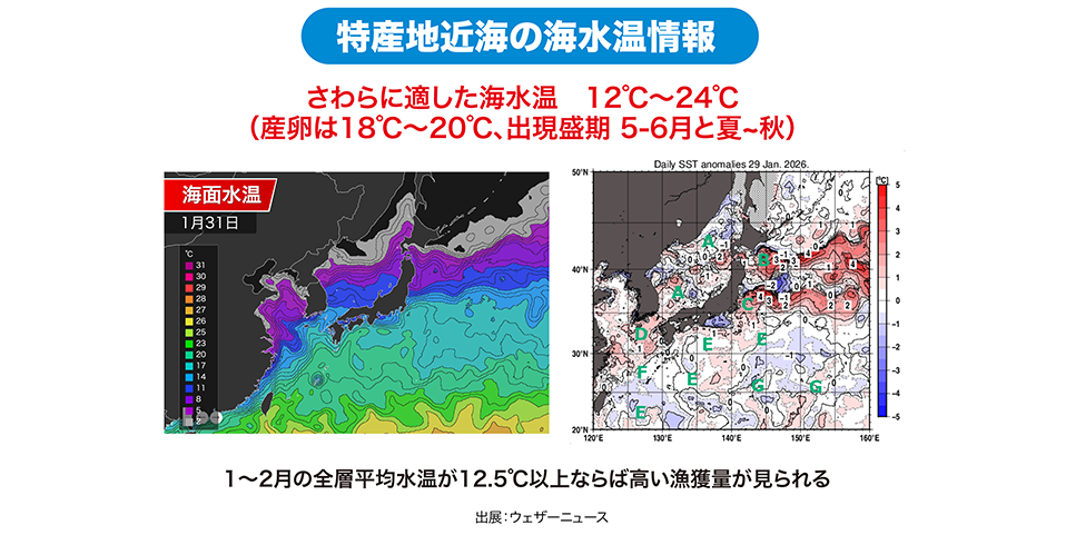 特産地近海の海水温情報