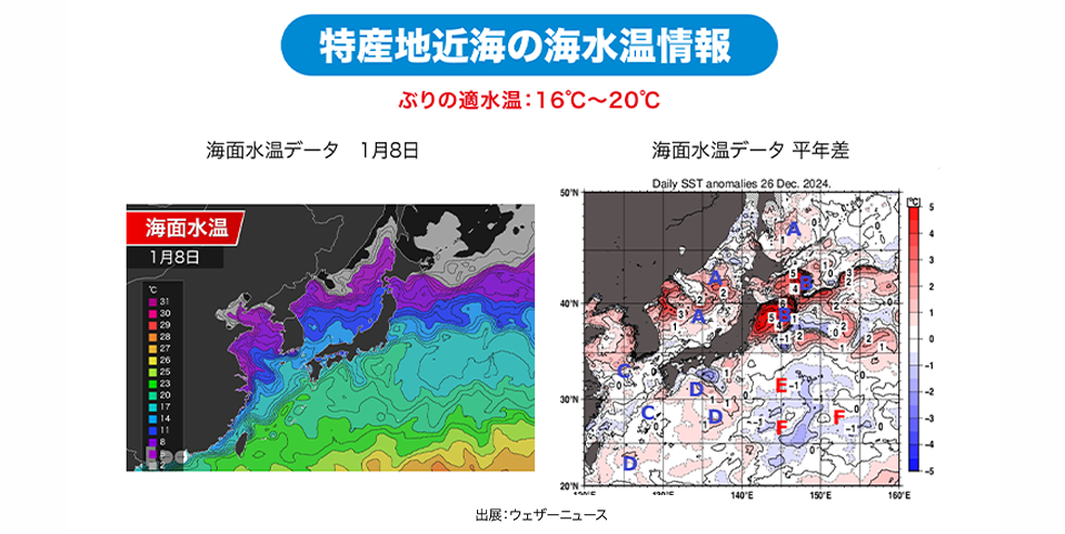 「長崎・島根・千葉」特産地近海の海水温情報
