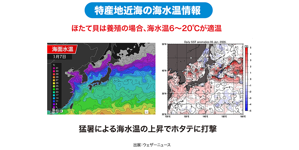 特産地近海の海水温情報