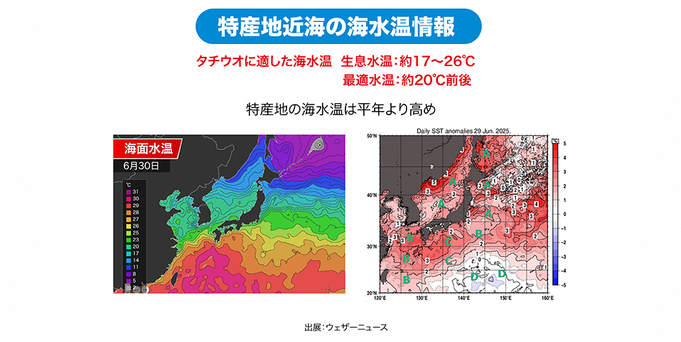 「千葉・長崎・熊本」特産地近海の海水温情報