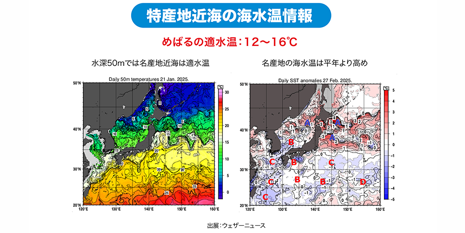 特産地近海の海水温情報