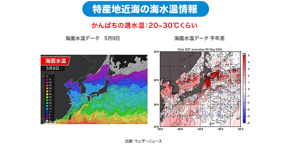 「長崎県・鹿児島県・高知県」特産地の海水温情報