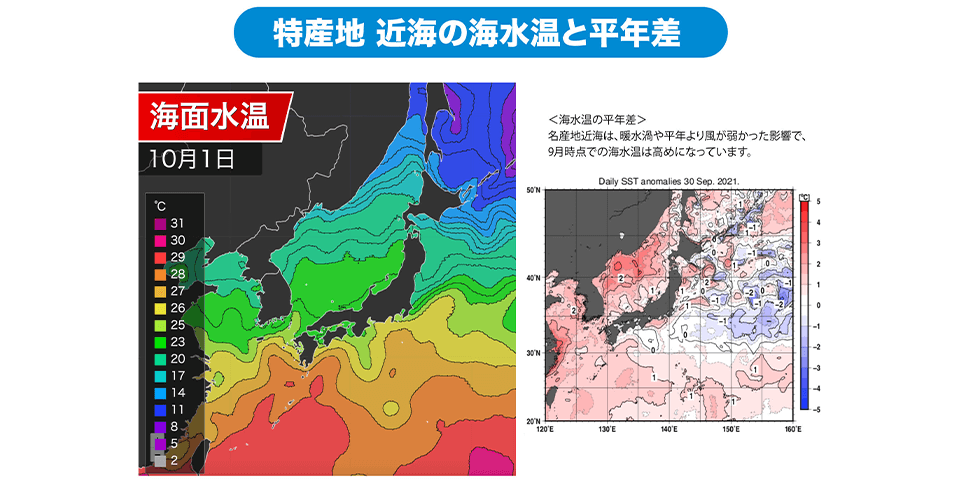 「茨城県・長崎県・千葉県」特産地近海の海水温情報