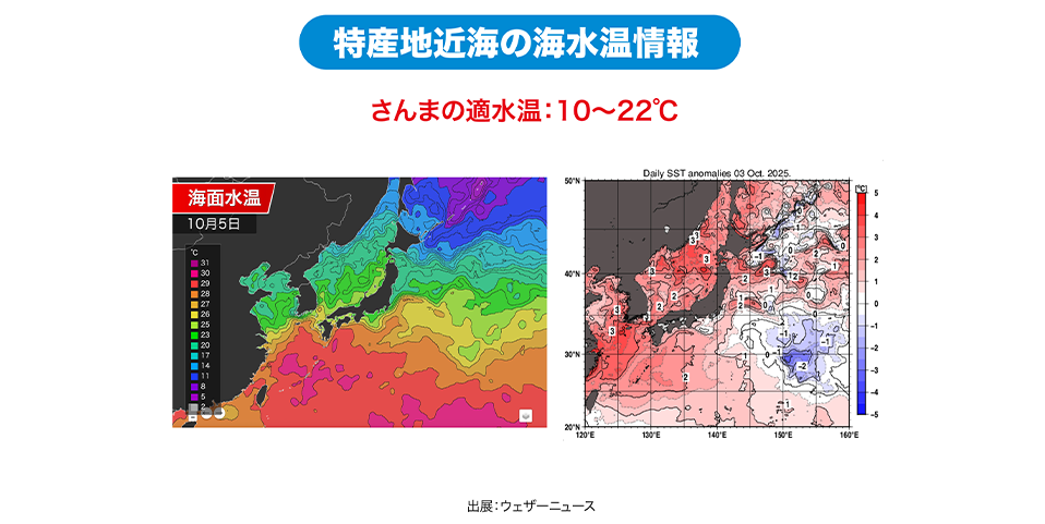 特産地近海の海水温情報