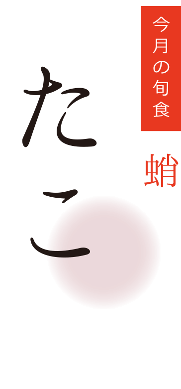 今月の旬食・たこ