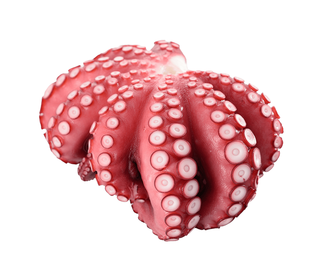 たこ